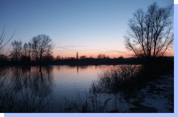 A body of water with trees in the foreground and a sunset.