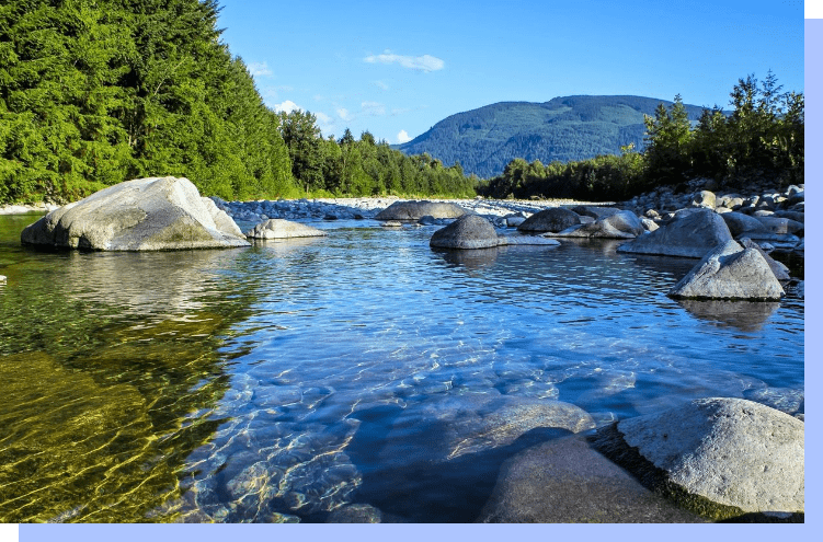 A river with rocks in it and trees